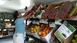 Farmer's market